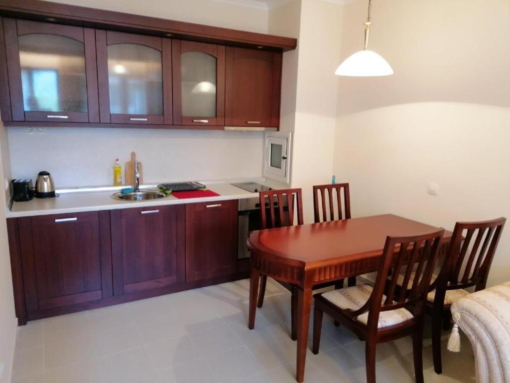 Downtown Luxury Private Apartments Bansko Esterno foto